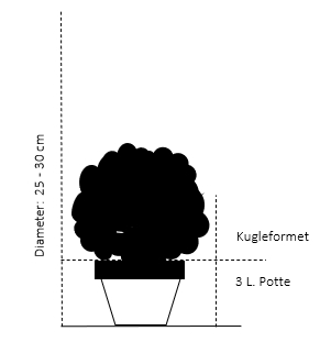 Kugle 20-25 cm. 3 liter sort potte