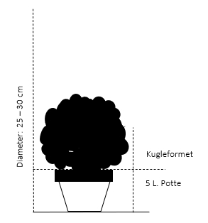 Kugle 25-30 cm. 5 liter sort potte