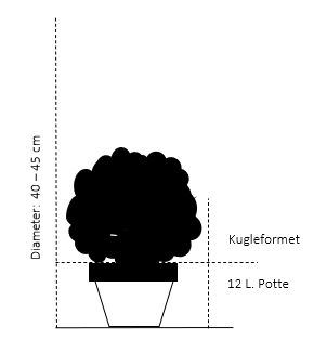 Kugle 40-45 cm. 12 liter sort potte