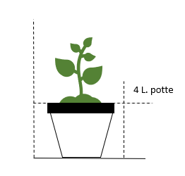 4 Liter potte, - Grønne planter